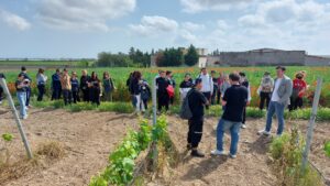 visita al vigneto